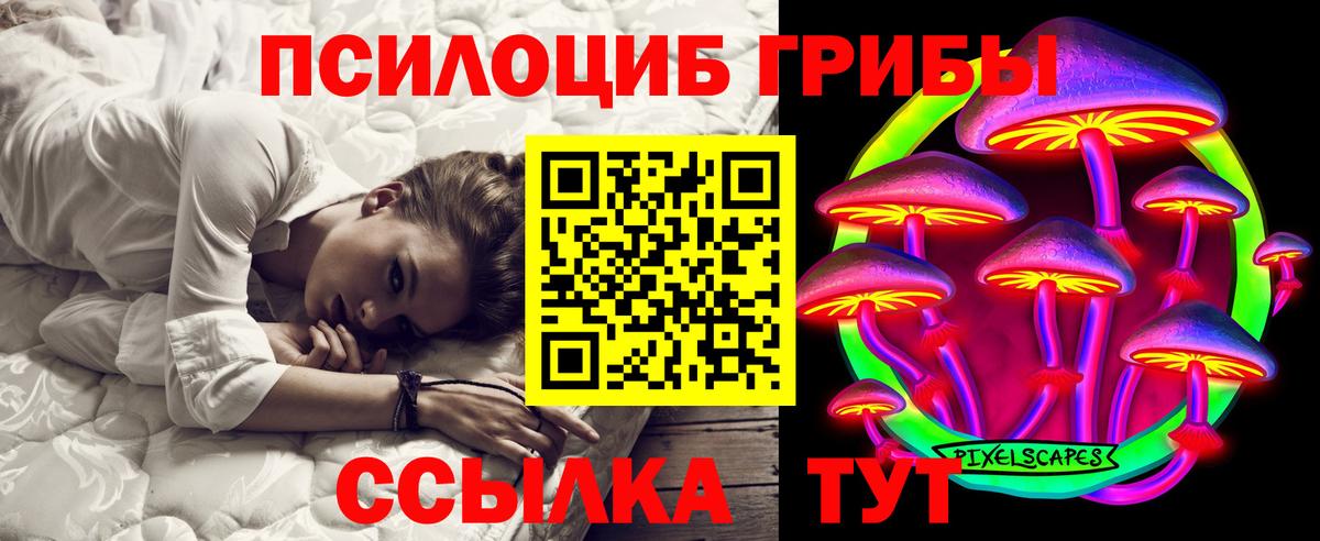 Лесной  Галлюциногенные грибы GOLDEN TEACHER  Псилоцибиновые грибы Psilocybine cubensis  Вход с VPN 
